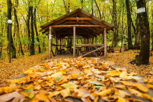 ???? ?????? ?????? ?????