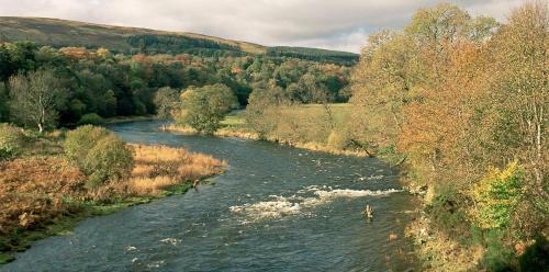 Bowhill Chateau Sleeps 10 Wifi