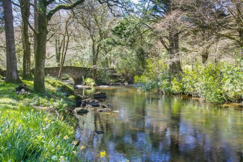 Gidleigh Chateau Sleeps 14 Pool Wifi