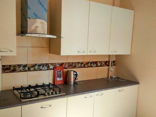 Apartment Zhemchuzhina Baltiki Na Gagarina