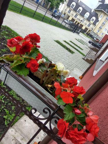 Apartment Zhemchuzhina Baltiki Na Gagarina