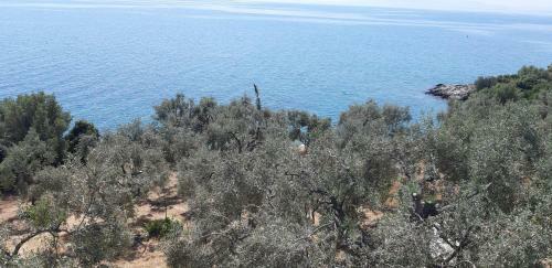 Villa Leonidas Greecegrandtour