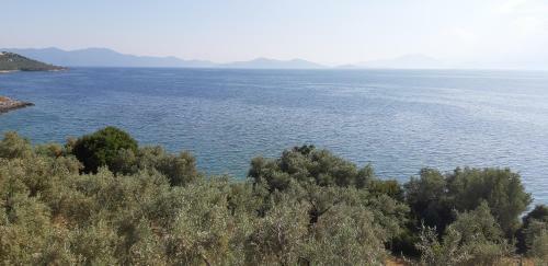 Villa Leonidas Greecegrandtour
