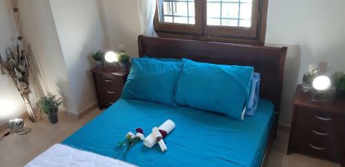 Villa Leonidas Greecegrandtour