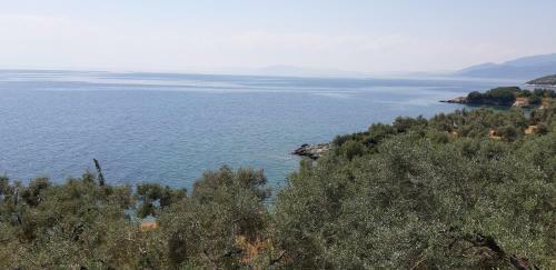 Villa Leonidas Greecegrandtour