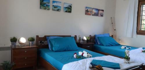Villa Leonidas Greecegrandtour
