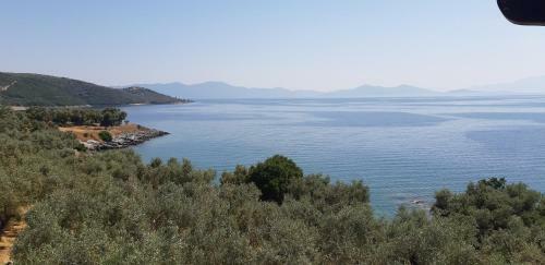 Villa Leonidas Greecegrandtour
