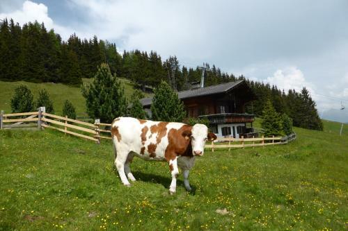 Kristemoarh�tte