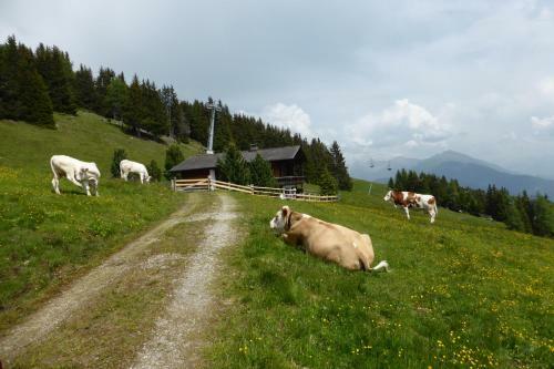 Kristemoarh�tte