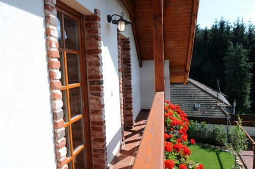 Hostal Star� Sv?t