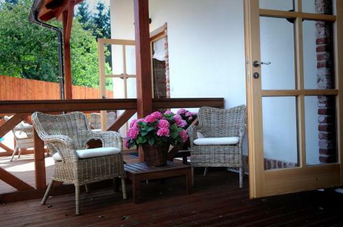 Hostal Star� Sv?t