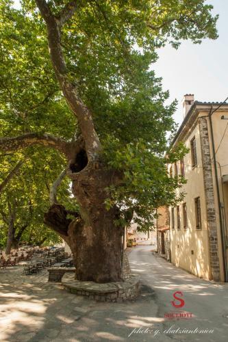 Hostal Archontiko Soulioti