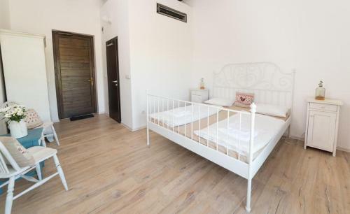 Hostal Thetis Birtok