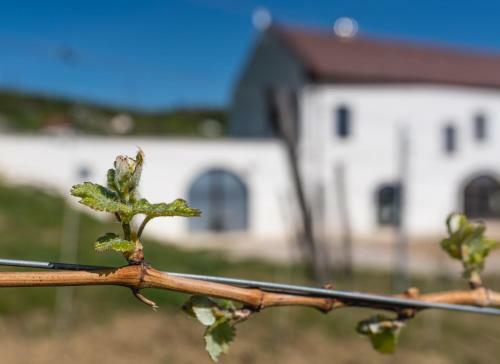 Hostal Thetis Birtok