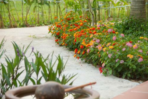 Hotel Ong Lang Village Resort