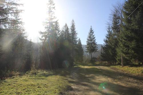 ?????? Mountain House