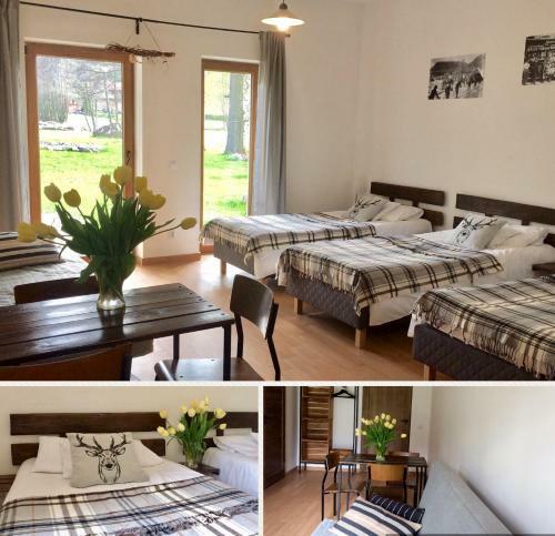 Bed & Breakfast Centrum ??kowa 1