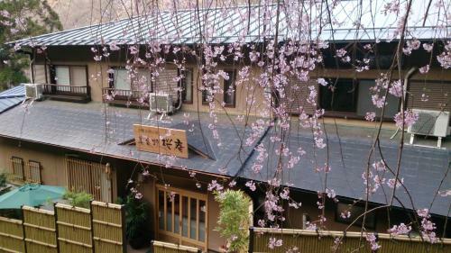 Hostal Miyoshino Sakuraan