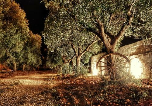 Bed & Breakfast Oltre Gli Ulivi