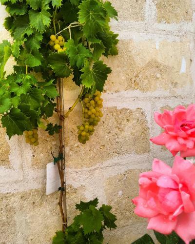 Bed & Breakfast Oltre Gli Ulivi