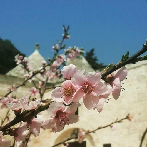 Apartamento Trulli Di Bacco
