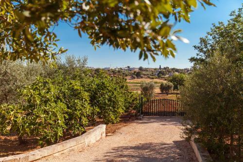 Apartamento Trulli Di Bacco
