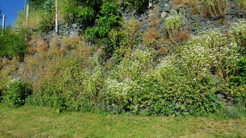 Bed & Breakfast Relais Des Castors