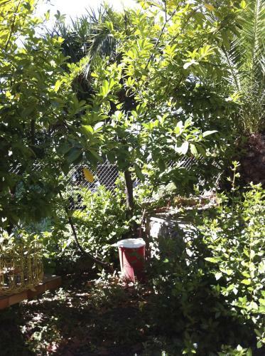 Bed & Breakfast Villa Tricia Cannes