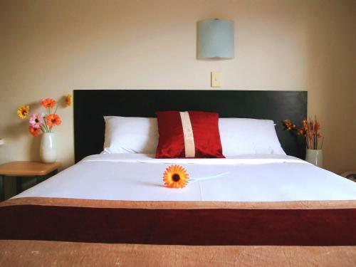 Ann's Volcanic Rotorua Motel And Serviced Apartments