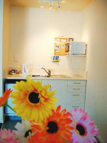 Ann's Volcanic Rotorua Motel And Serviced Apartments