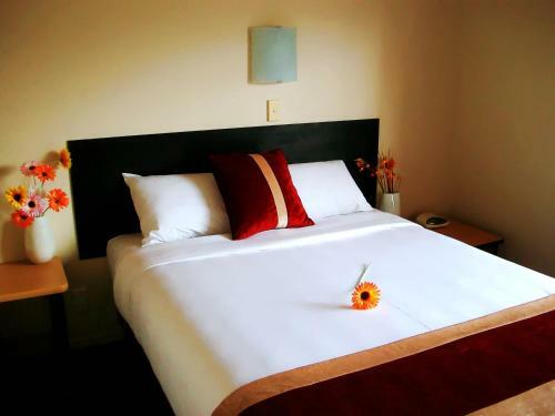 Ann's Volcanic Rotorua Motel And Serviced Apartments