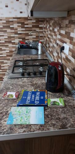 Apartment Rustaveli 59