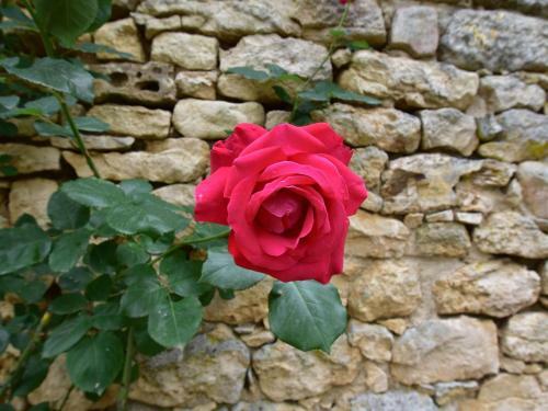 Charming Holiday Home In Prats-du-perigord With Pool