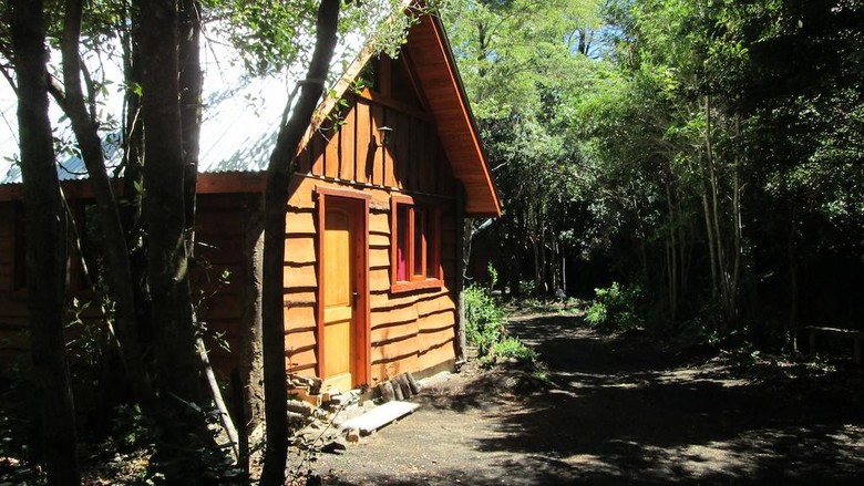 Bosque De Pucon
