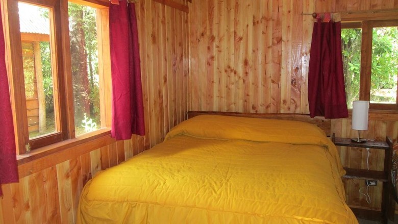 Bosque De Pucon