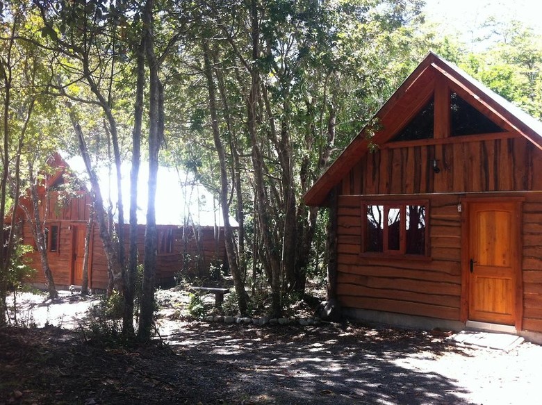 Bosque De Pucon