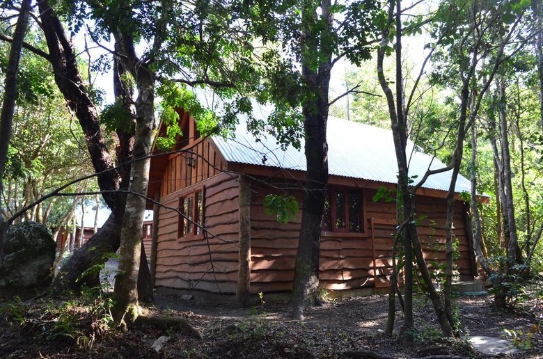 Bosque De Pucon