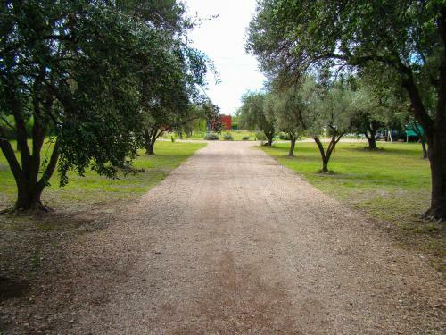 Posada De Campo Pura Vida