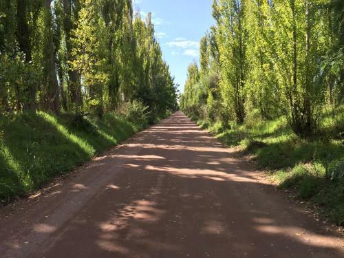 Posada De Campo Pura Vida