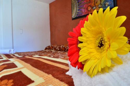 Hotel Vicalis