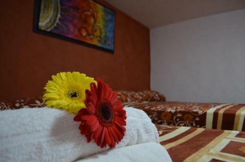 Hotel Vicalis
