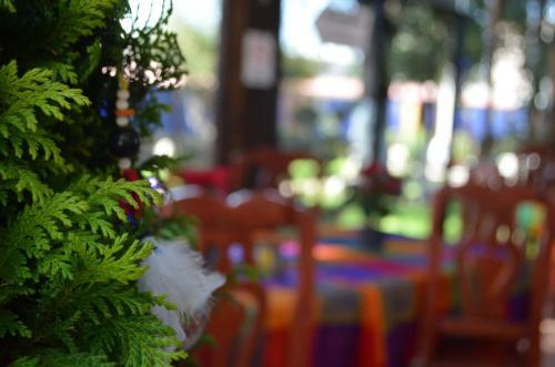 Hotel Vicalis