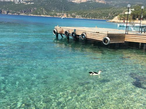 La Moda Beach Hotel