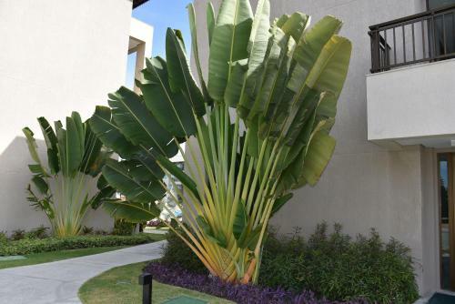 Apartamento Boutique Ecolife