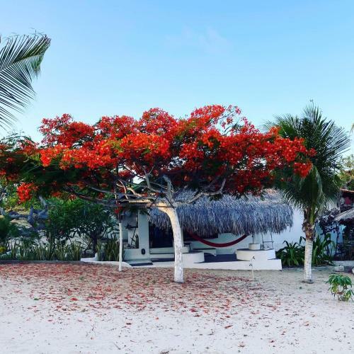 Hotel Casa Acquamarina