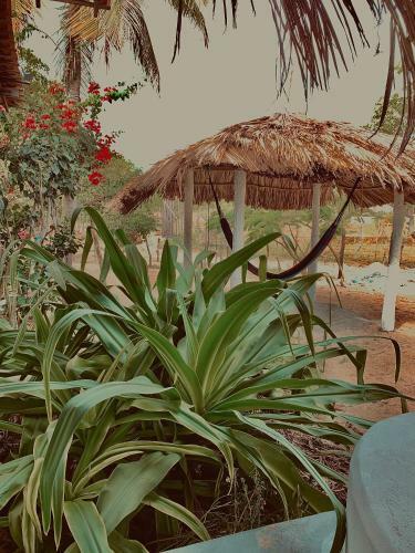 Hotel Casa Acquamarina