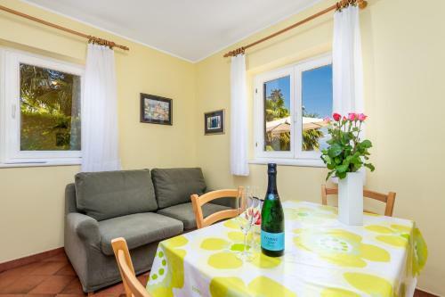 Rona Apartments Ani
