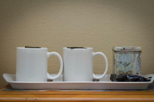 Hostal Dolphin Guesthouse