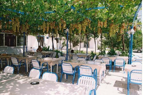 Garden Hotel