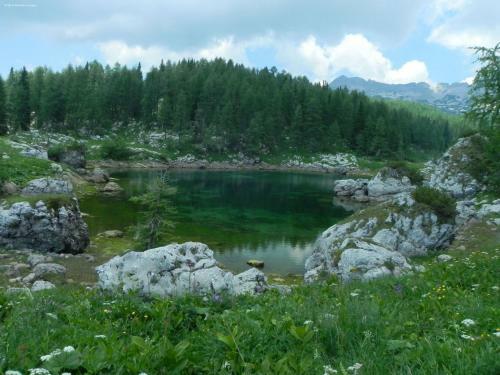 Opulent Chalet In Mauterndorf With Whirlpool & Sauna